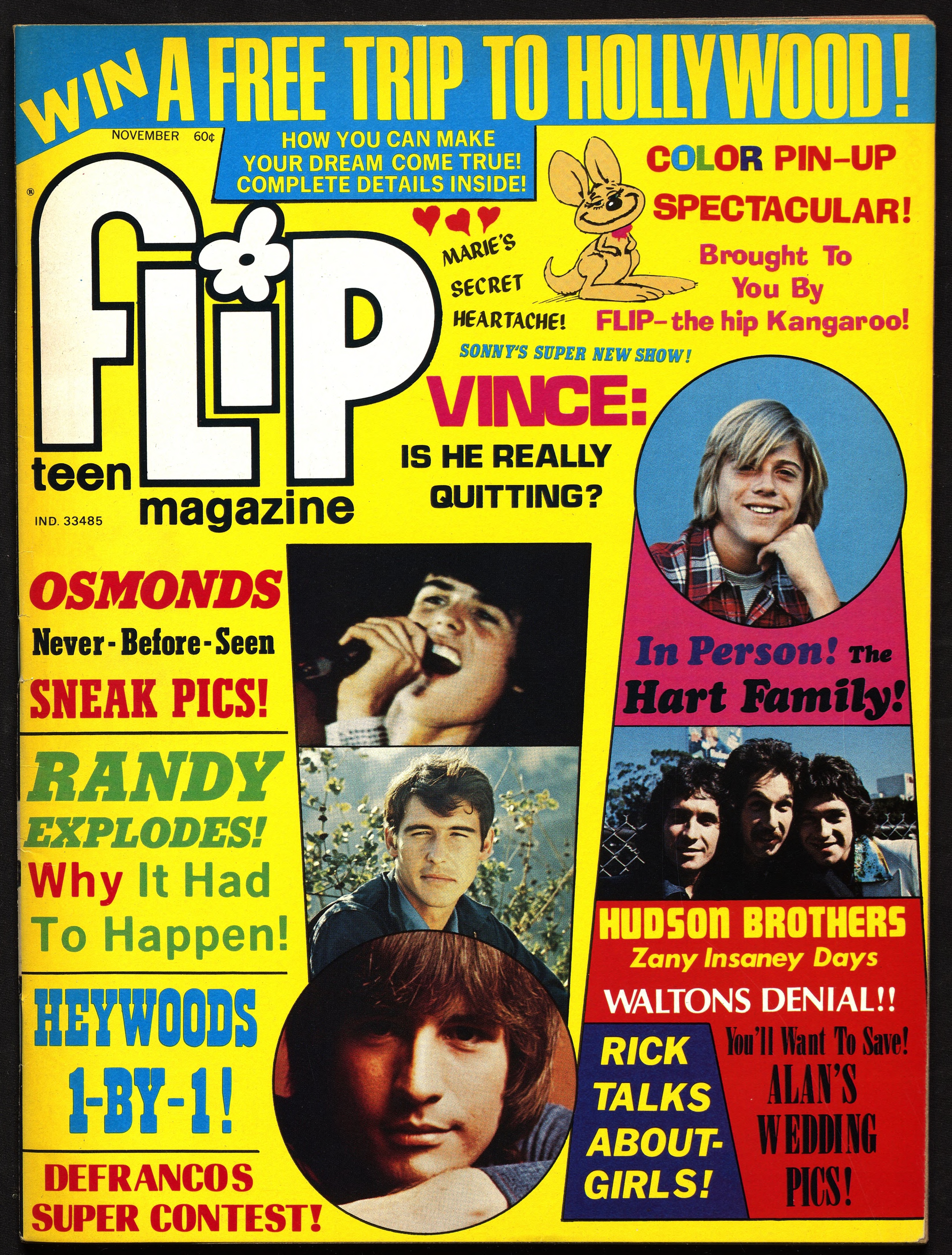 Flip Teen Magazine November 1974 No 101 Flip November 1974
